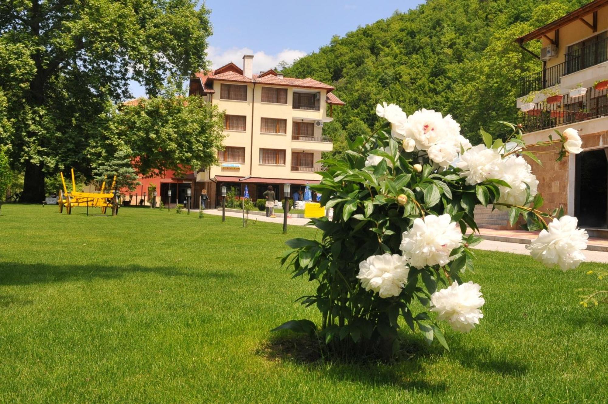 Family Hotel Delta Ognyanovo  Εξωτερικό φωτογραφία